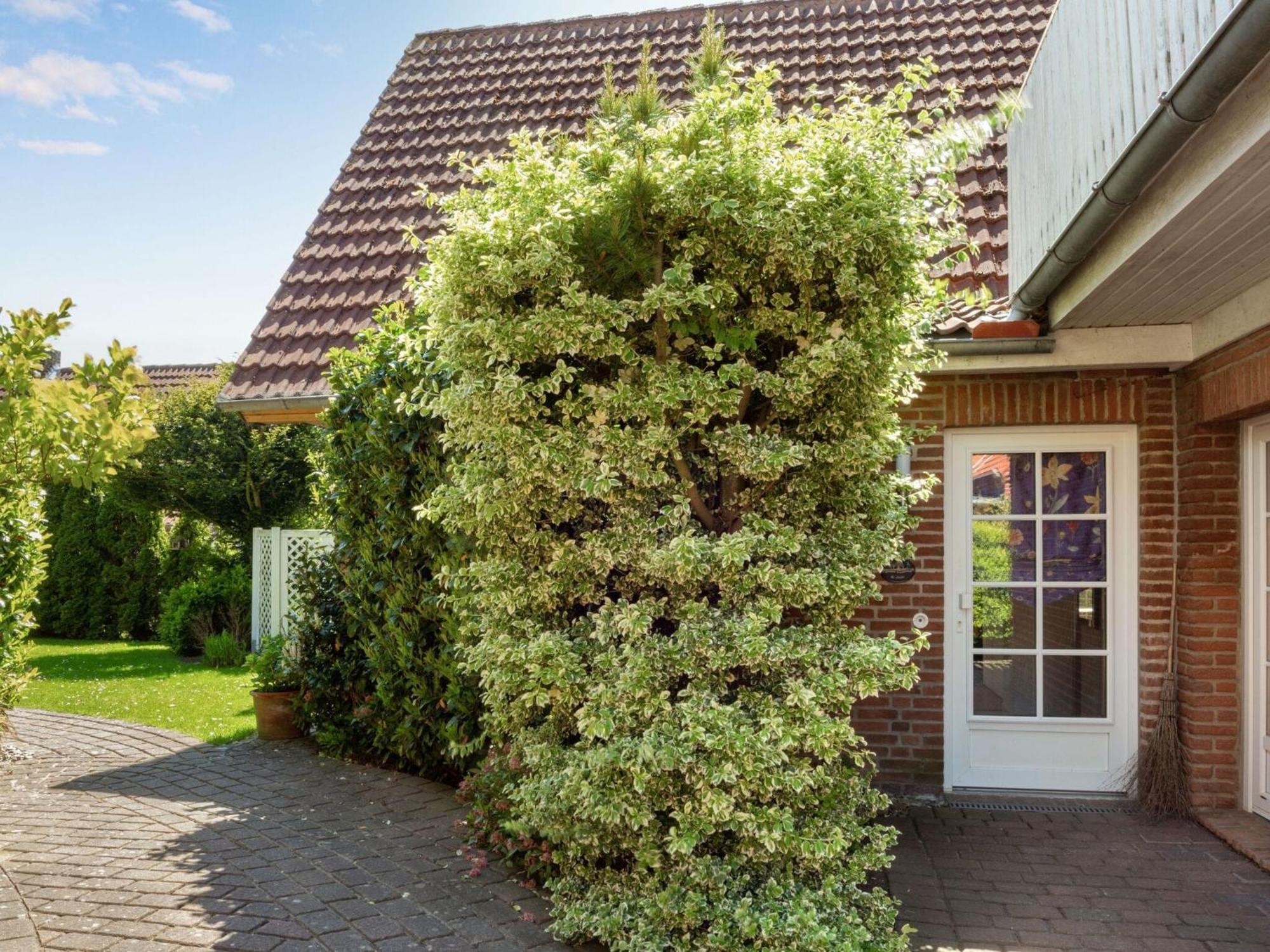 Enticing Holiday Home In Oldenburg With Garden Near Sea Dannau Eksteriør bilde